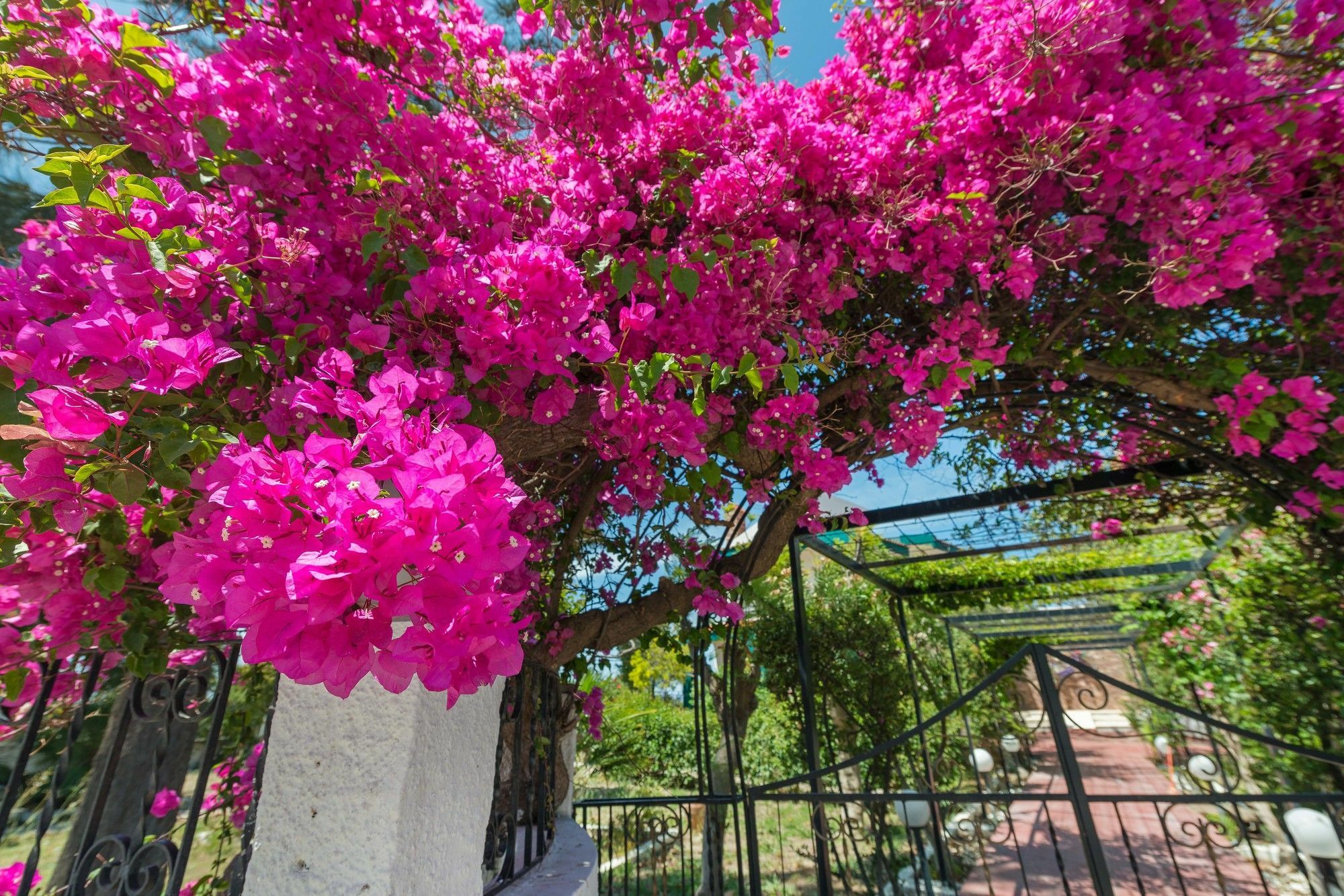 Villas Marianna Καλαβάρδα Εξωτερικό φωτογραφία